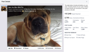 facebook insights