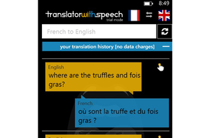 translator primary