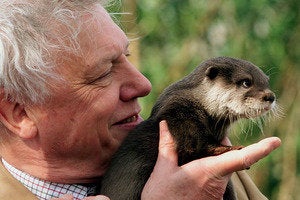 David Attenborough