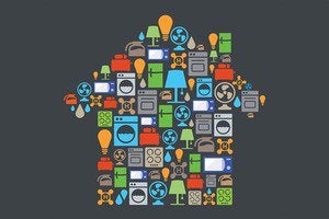 nest developer program graphic