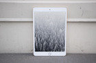 ipadmini3 schultz 1