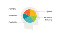 pie chart head b54b65419ff260a5f6413415f6519ee0