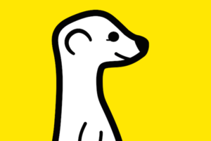 meerkat