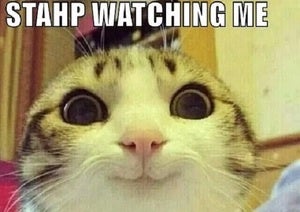 stahp watching me 3