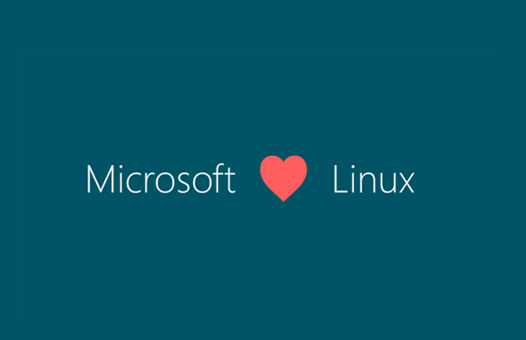 100515 microsoft linux
