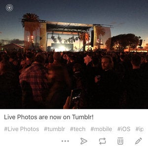 tumblr live photos