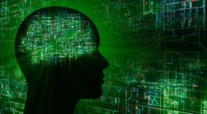 Brain circuitry